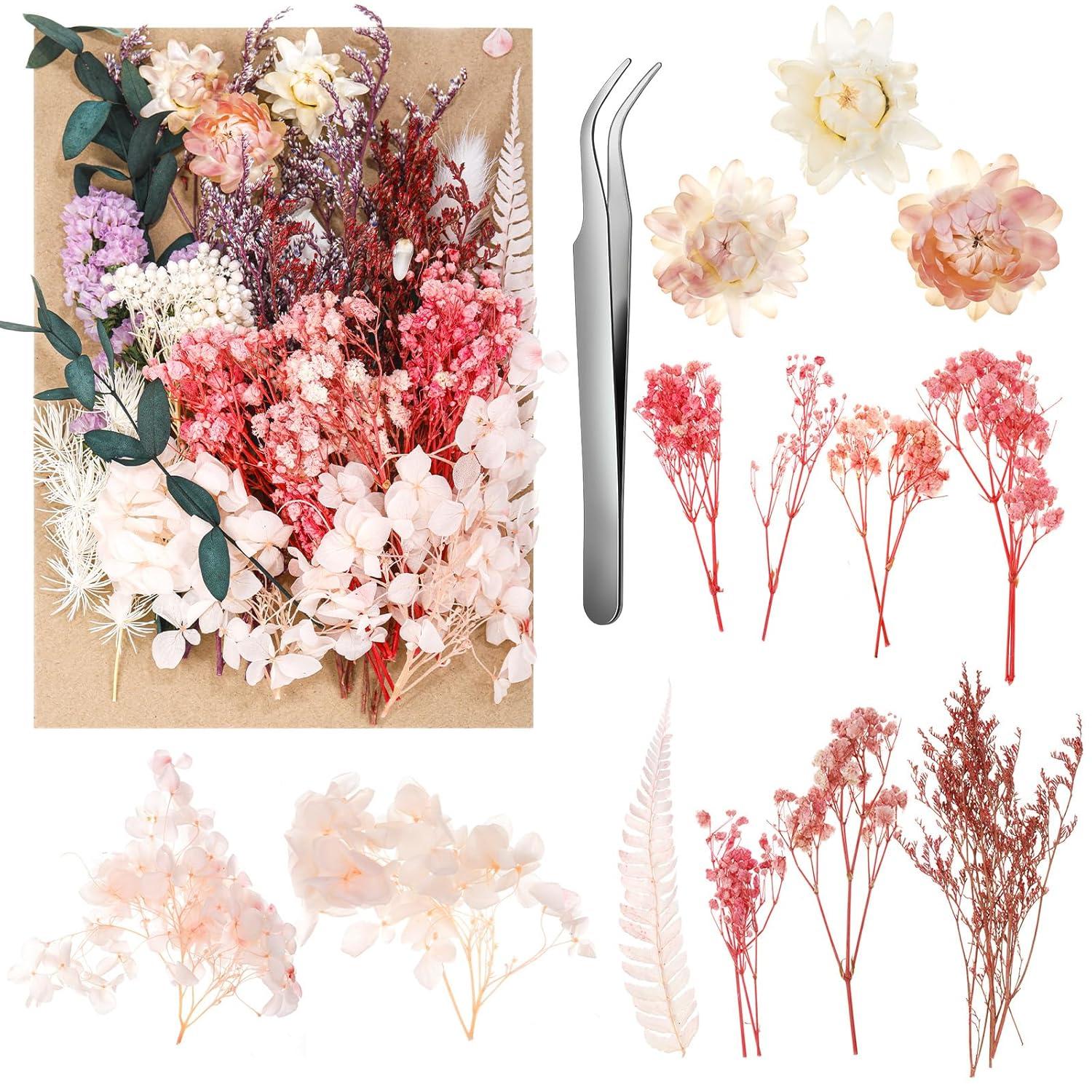 Yoloke DIY Dried Flowers Craft Kit - Natural Assorted Dried Florals for Making Everlasting Valentine's Day Gifts, Unique Design, Perfect for Framing & Creative Decor