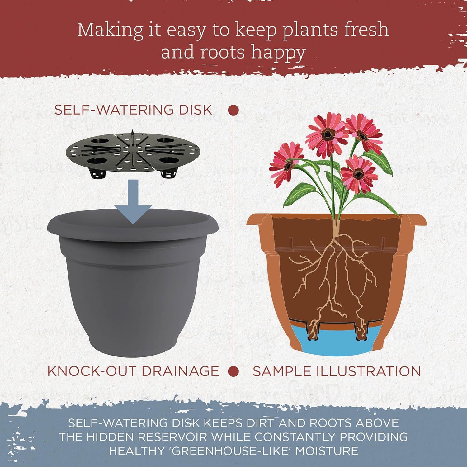 Bloem Ariana 12 in. D Polyresin Planter Charcoal