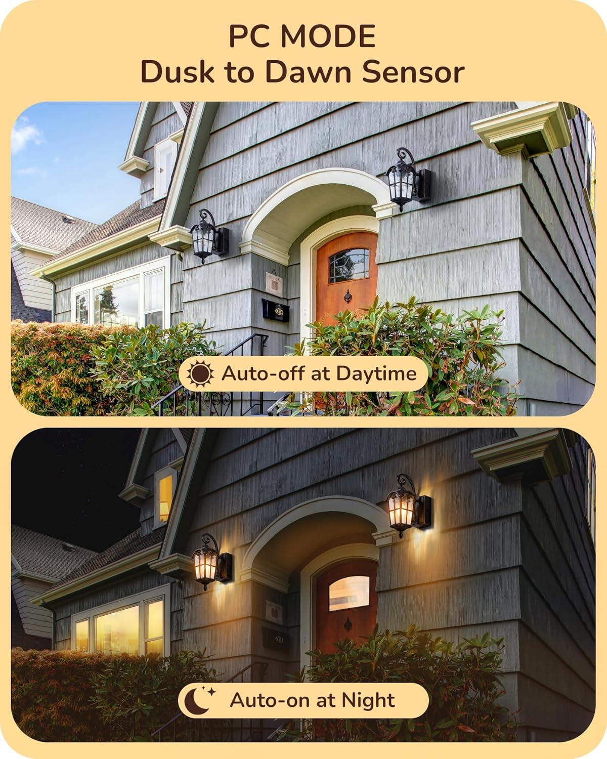 17.3 in. Black Dusk to Dawn Outdoor Wall Lantern Sconce Light with Built-in 2 GFCI Outlet