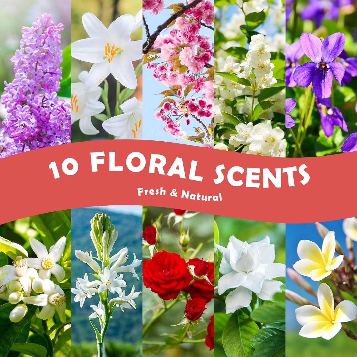 Floral Essential Oil Set with 10 Natural Scents