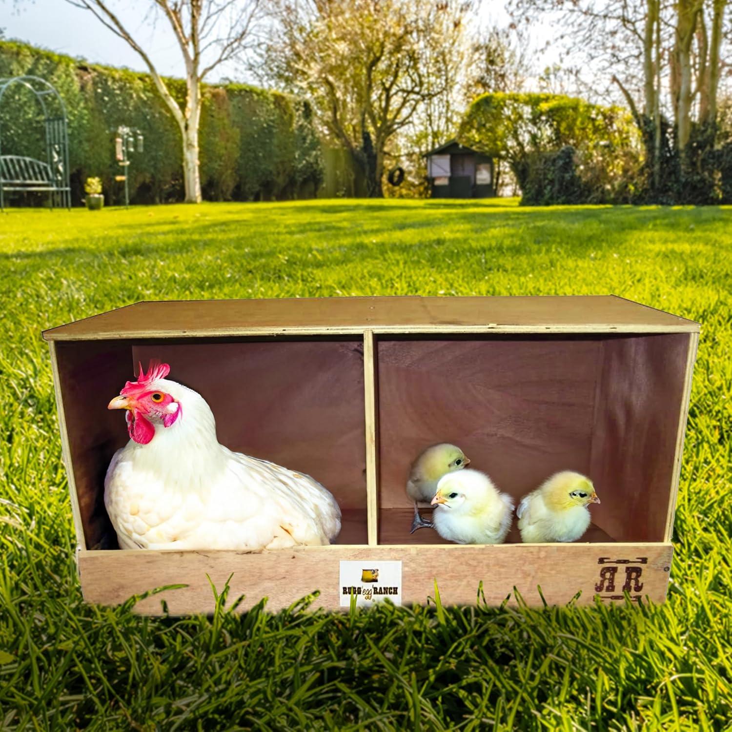 Rugged Range Products Duplex 24 x 12 x 12 Inch Flat Wooden Dual Compartment Chicken Coop Interior Poultry Bird Egg Animal Nesting Box for 2 to 4 Hens