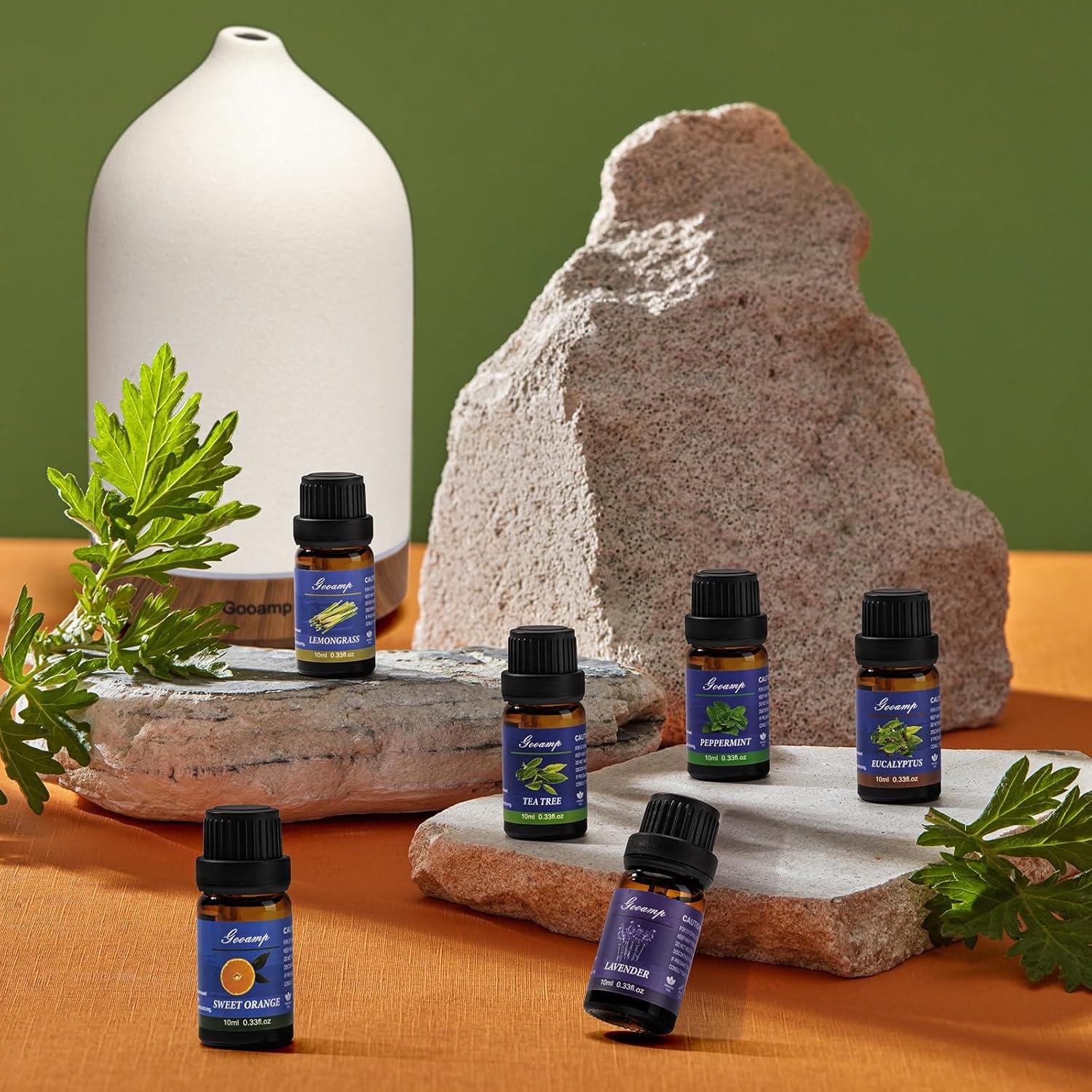 Essential Oils Set - Top 6 Blends for Diffusers, Home Care, Candle Making Scents, Fragrance, Aromatherapy, Humidifiers, Gifts - Peppermint, Tea Tree, Lavender, Eucalyptus, Lemongrass, Orange (10mL)