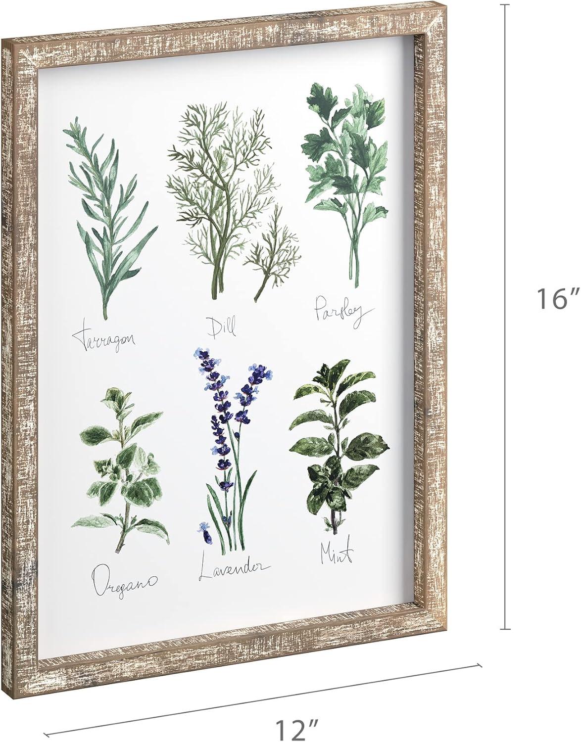 Barnyard Designs Kitchen Herbs and Spices Wall Art Decor Botanical Print Sign Rustic Country Farmhouse Wood Plaque Framed Home Wall Decor 12" x 16" (Herbs B / 1 Sign)