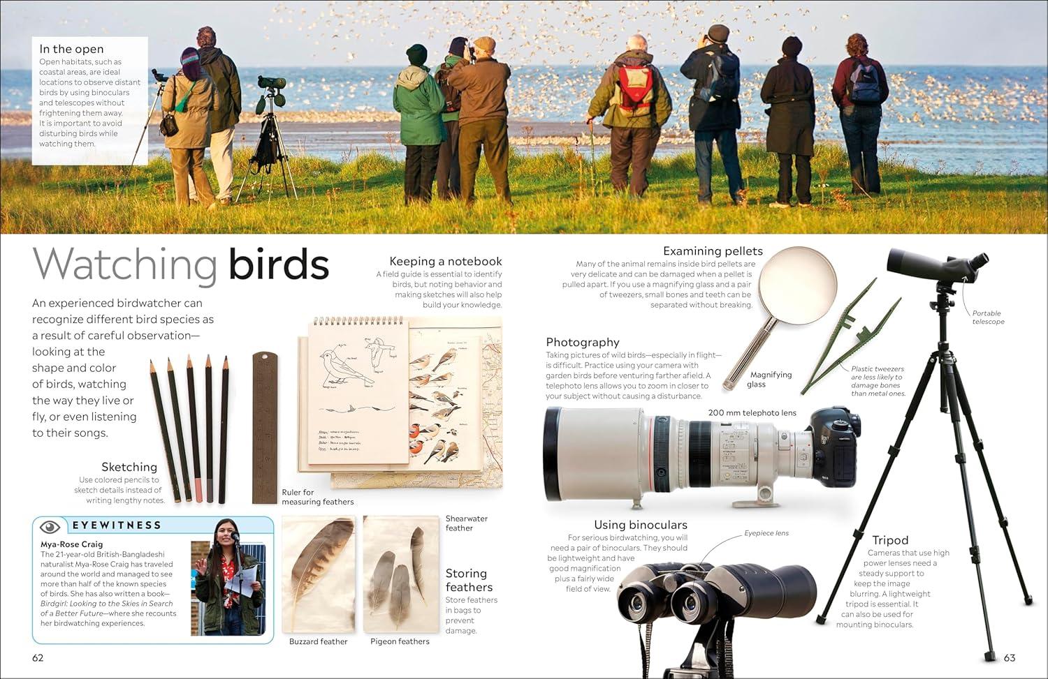 Eyewitness Bird - (DK Eyewitness) by DK (Paperback)