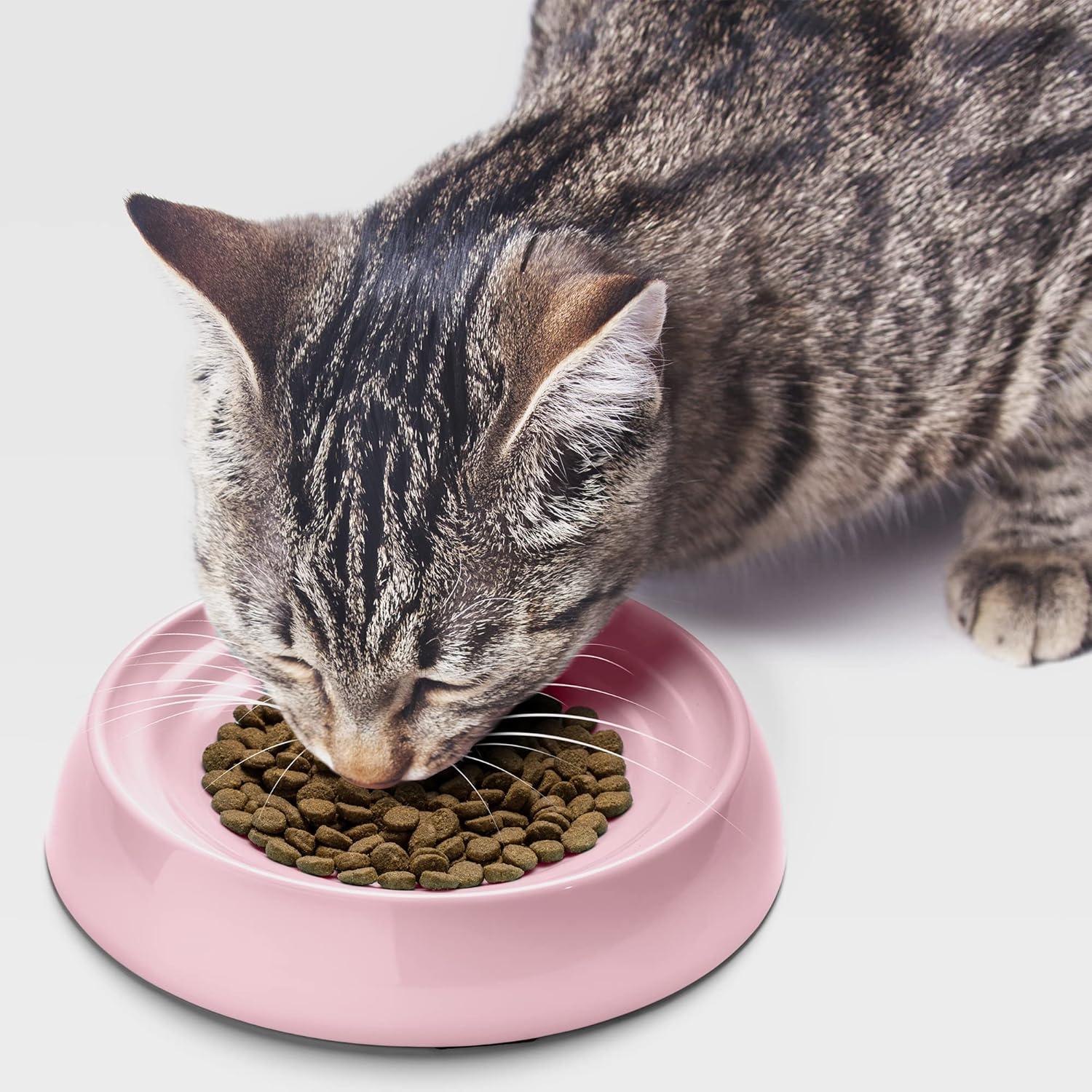 CatGuru Cat Bowls, Whisker Stress Free Cat Food Bowl, Reliefs Whisker Fatigue, Wide Cat Bowl, Shallow Cat Dish