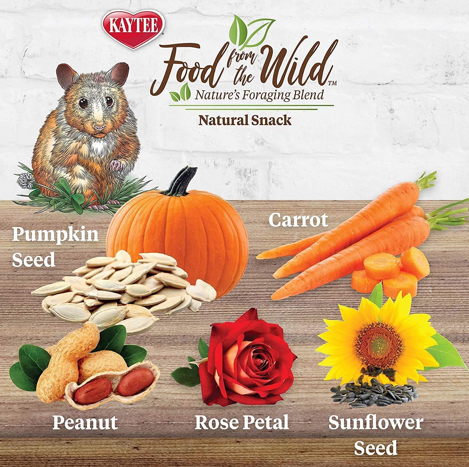 Kaytee Food From the Wild Natural Snack