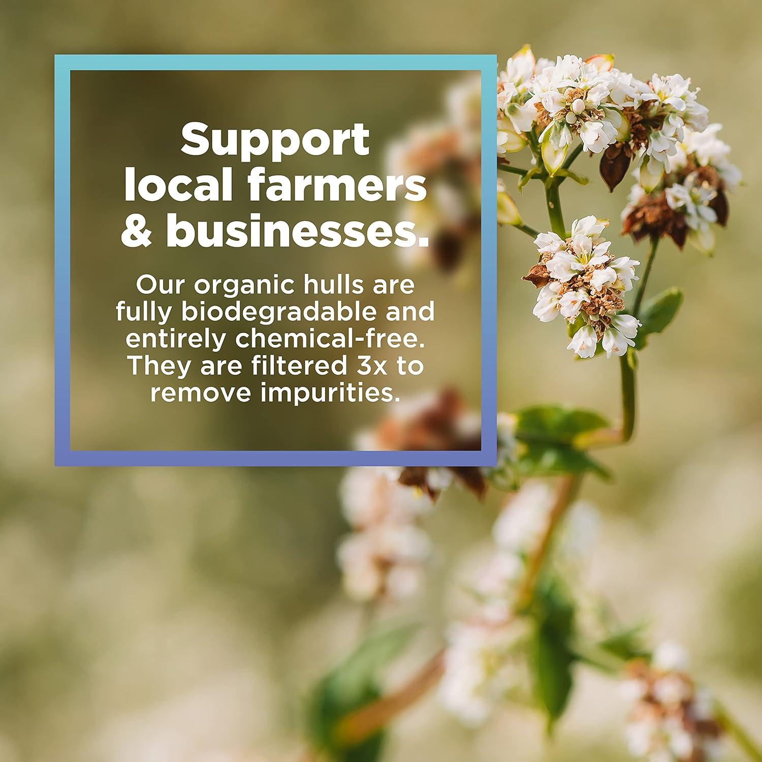 Organic Buckwheat Hulls Filler for Pillows, Yoga Zafus, and Cushions – Grown and Processed in USA, 1LB Pillow Filling