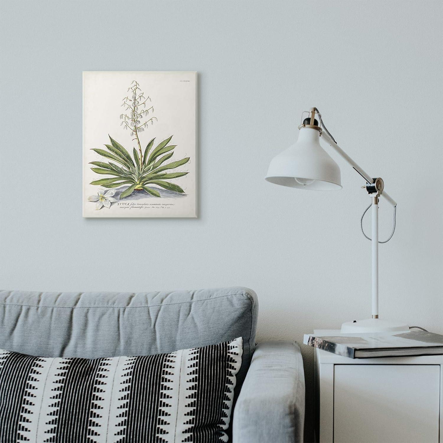 Stupell Industries Botanical Plant Illustration Ferns Vintage Design Drawings Unframed Art Print Wall Art, 13x19, by Unknown