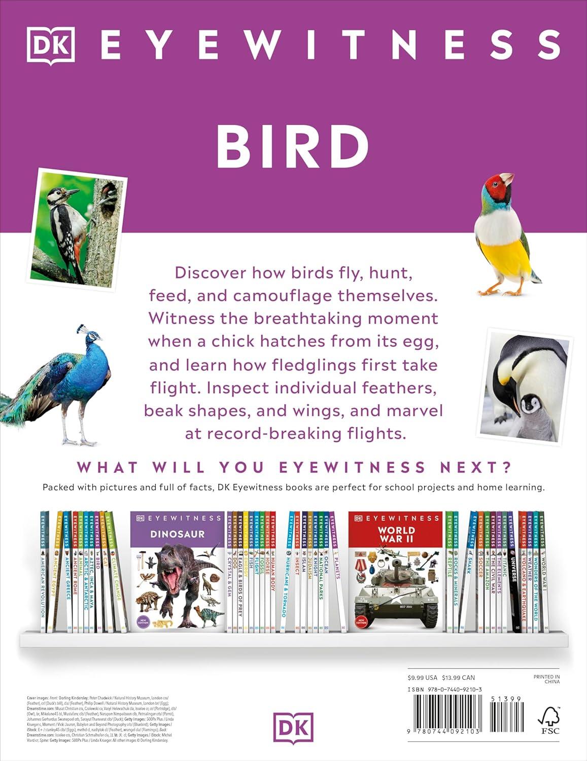 Eyewitness Bird - (DK Eyewitness) by DK (Paperback)