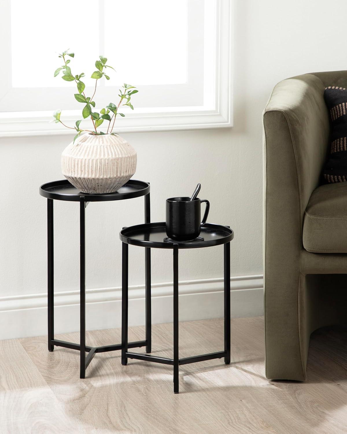 Black Metal Modern Indoor/Outdoor Plant Stand Set