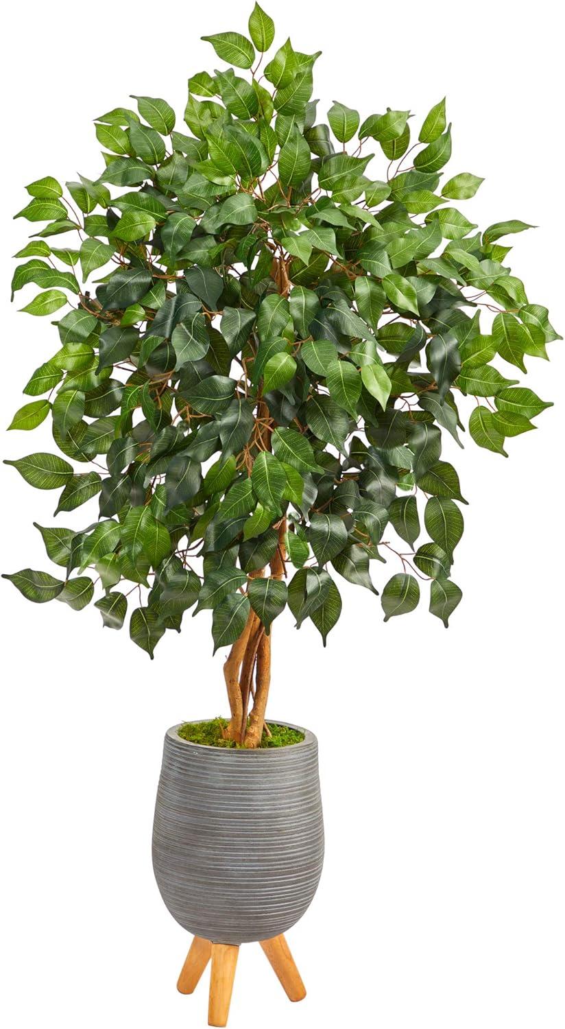 Elegant Lifelike Ficus in Gray Tripod Planter, 52" Tall