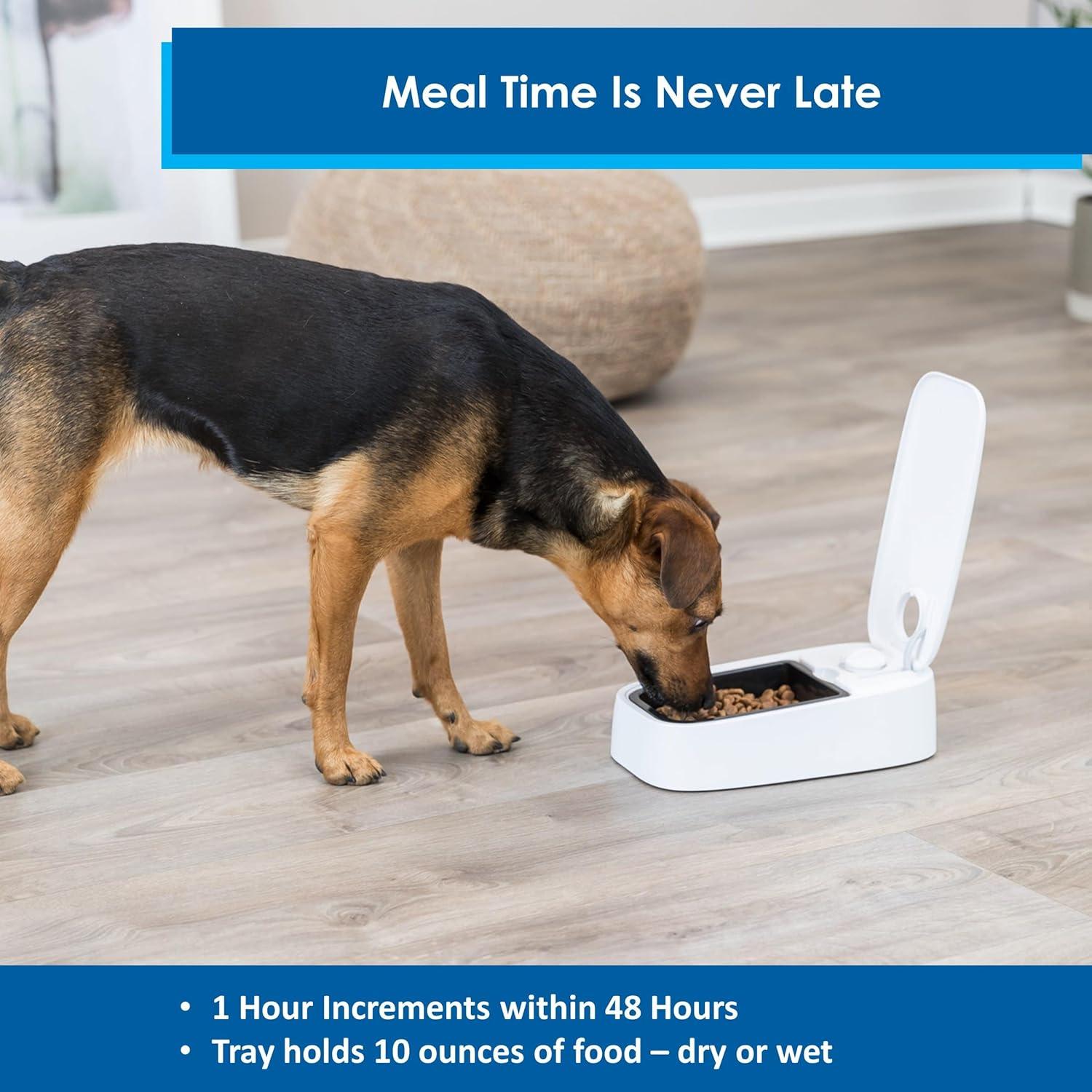 White Automatic Single Serving Pet Feeder with Timer