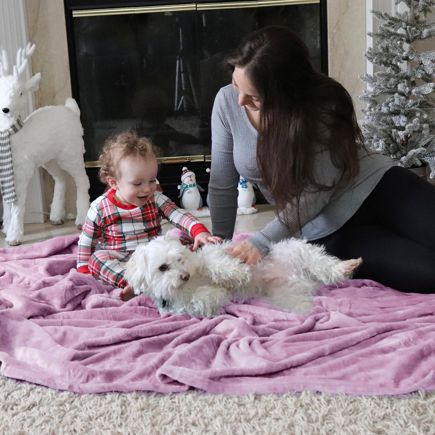 Bedsure Fleece Throw Blanket for Couch Lilac - Lightweight Plush Fuzzy Cozy Soft Blankets and Throws for Sofa, 50x60 inches