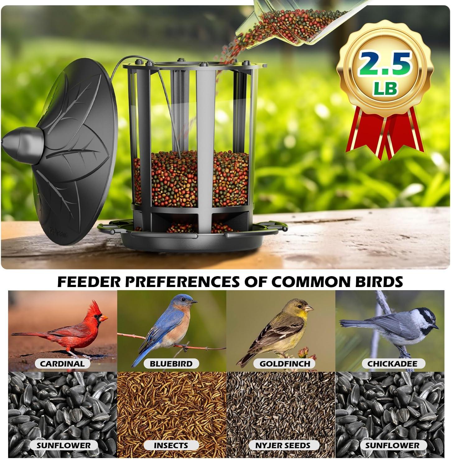 Arlmont & Co. 2 Pack Bird Feeders for Outdoor Hanging, Classic Castle Squirrel Proof Bird Feeders, for Goldfinches Chickadees Finches Sparrows