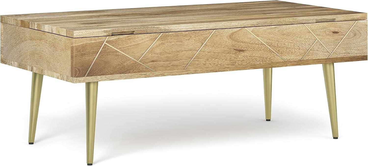 Simpli Home Jager 48"W Solid Mango Wood Contemporary Modern Lift Top Coffee Table with Hidden Storage and Geometric Brass Inlay