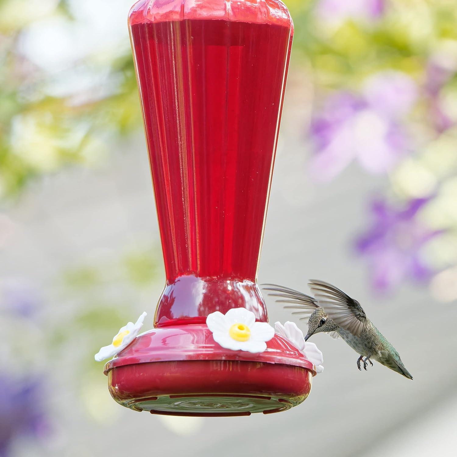 Audubon Park 9oz Hummingbird Bird Food