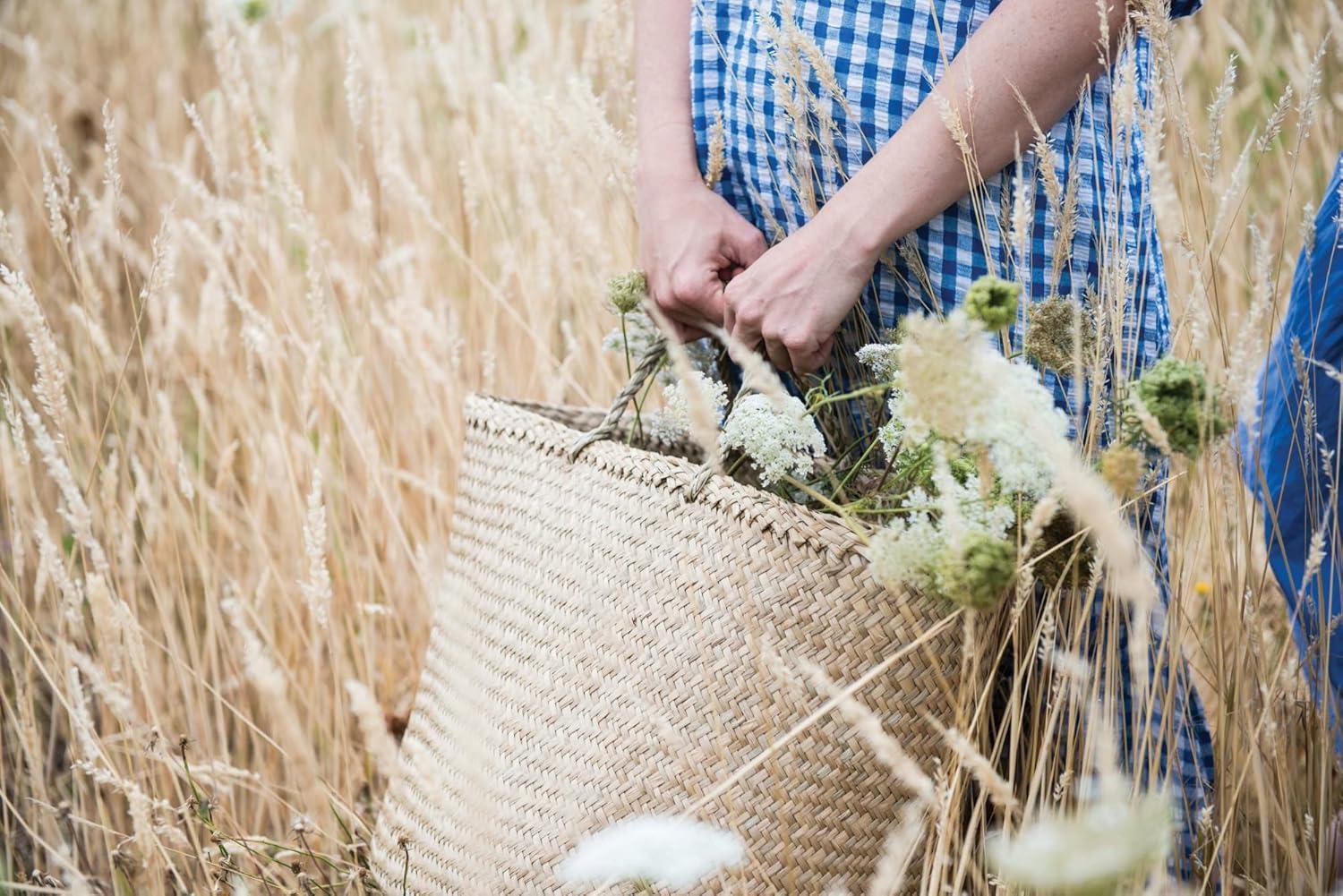 Sadia Handmade Seagrass Basket With Handles - Set of 2