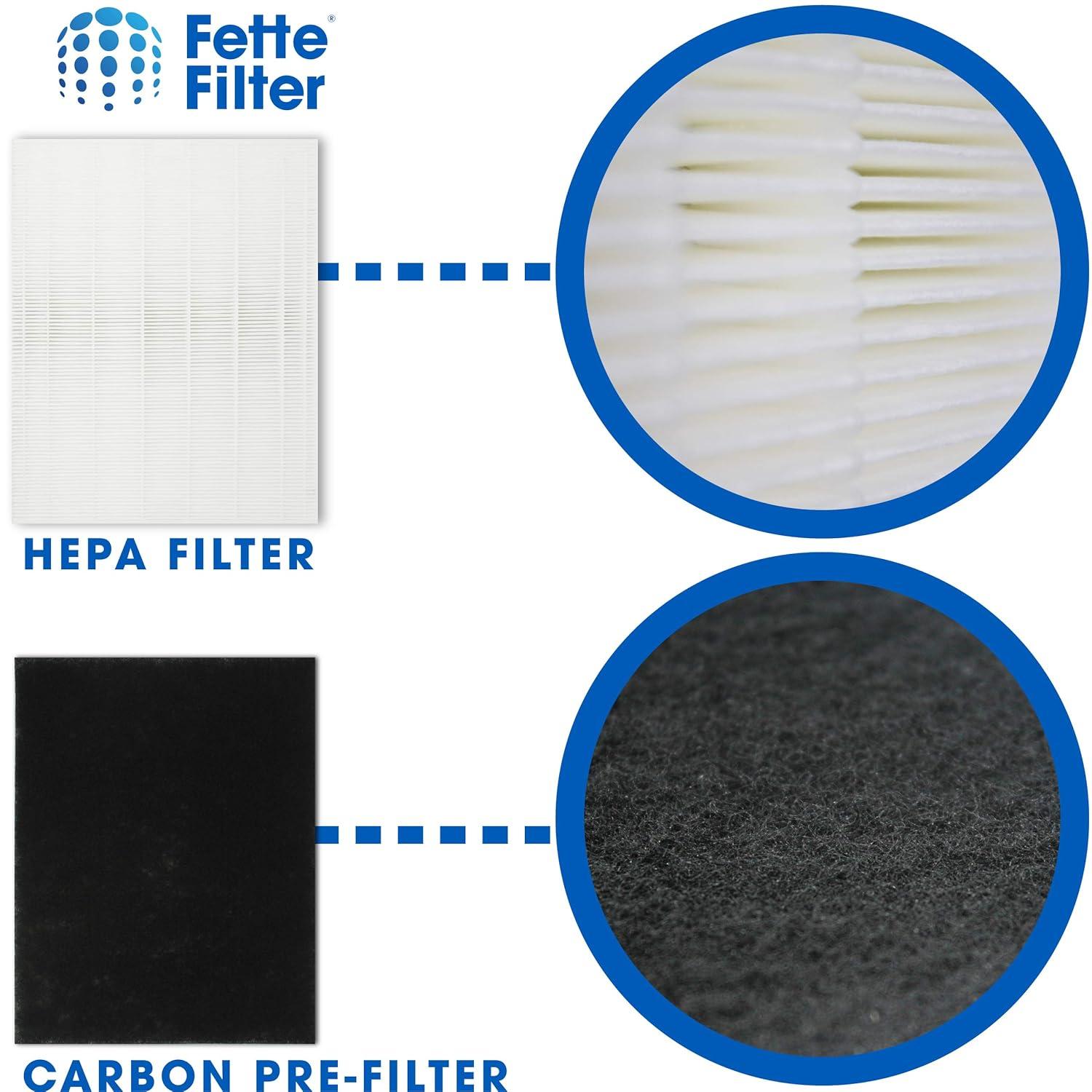 Fette Filter - 115115 Premium True HEPA H13 Filter Compatible with Winix Filter A 115115 Size 21 Plasma Wave Air Purifier AM90 P300 5300 5500 5300-2 6300-2 6300 C909 9800 C535 - Pack of 2 + 8