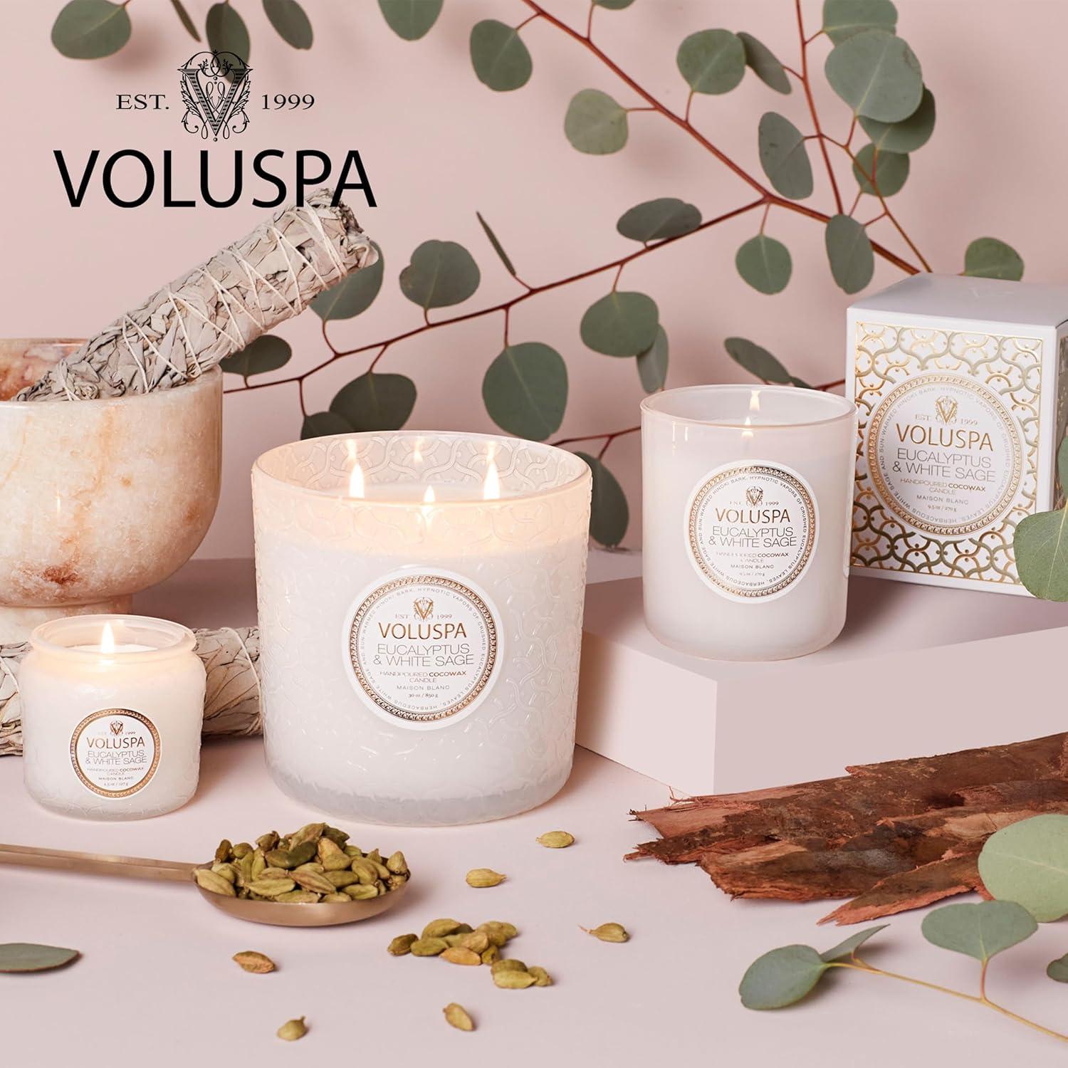 Eucalyptus & White Sage 9.5 oz Coconut Wax Candle