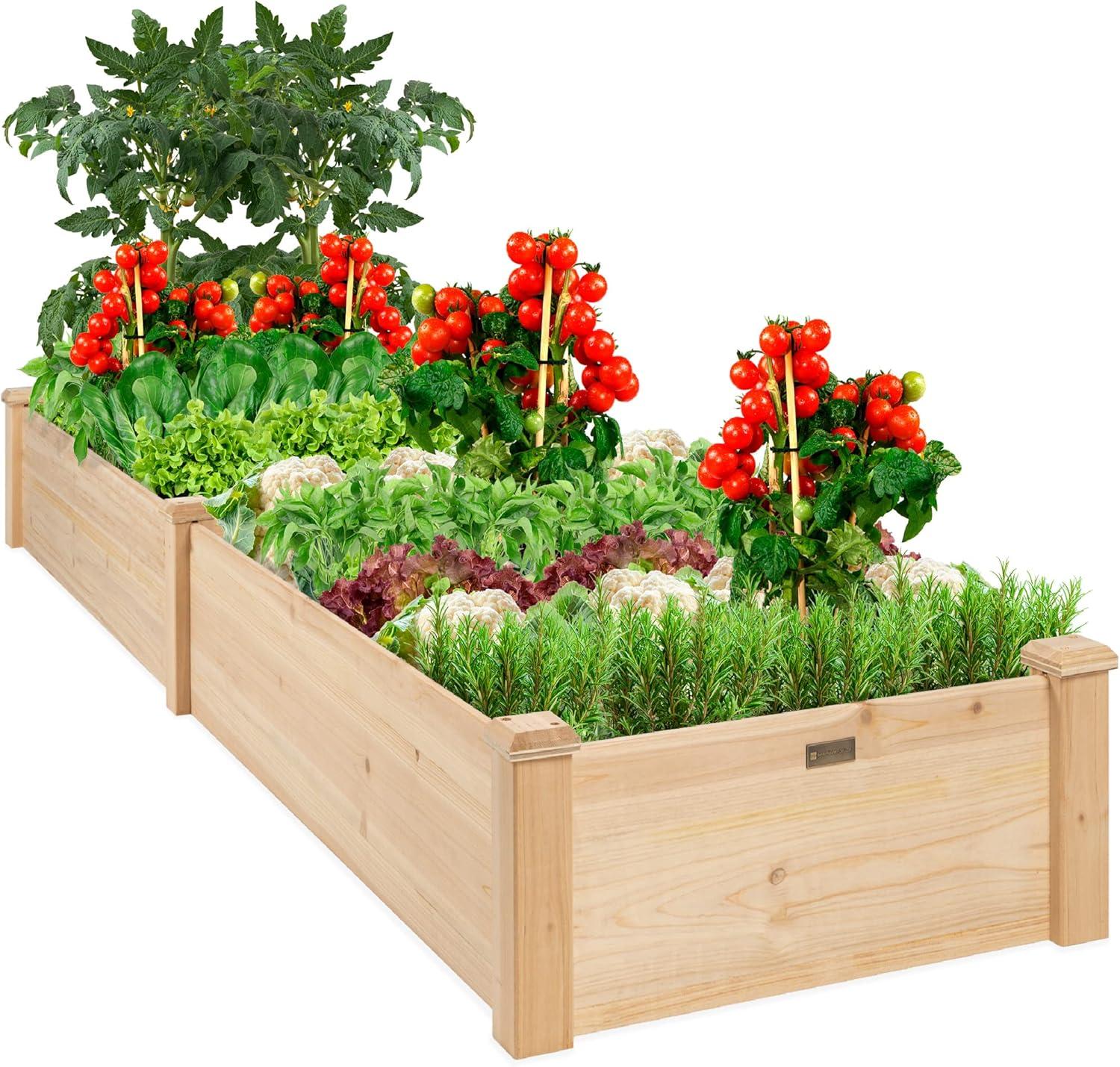 Best Choice Products 8x2ft Outdoor Wooden Raised Garden Bed Planter for Grass, Lawn, Yard