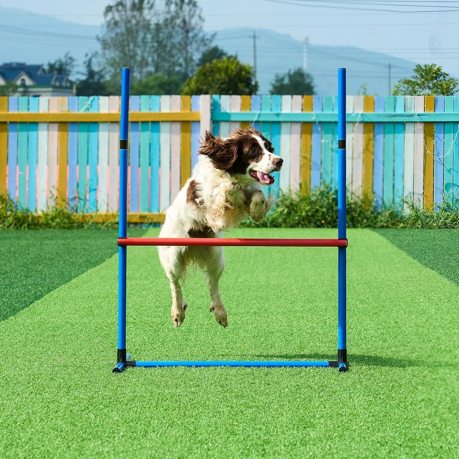 Blue and Red PVC Dog Agility Training Set with Tunnel