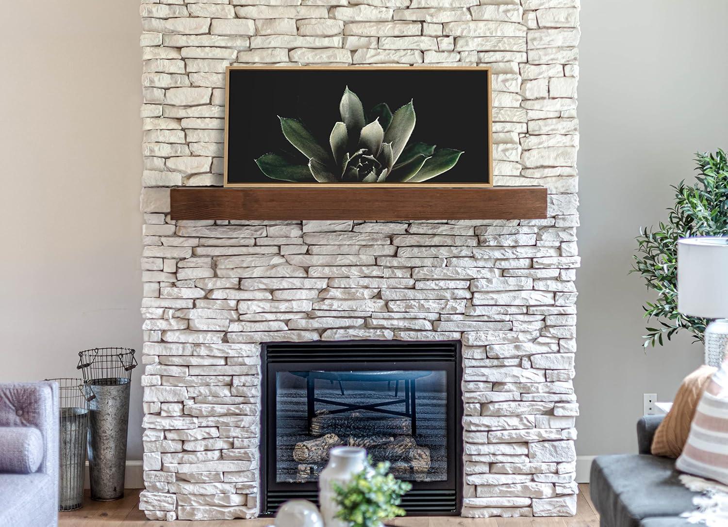 Kate and Laurel Sylvie Salutation Framed Canvas Wall Art by Emiko and Mark Franzen of F2Images, 18x40 Natural, Dramatic Dark Botanical Plant Art for Wall