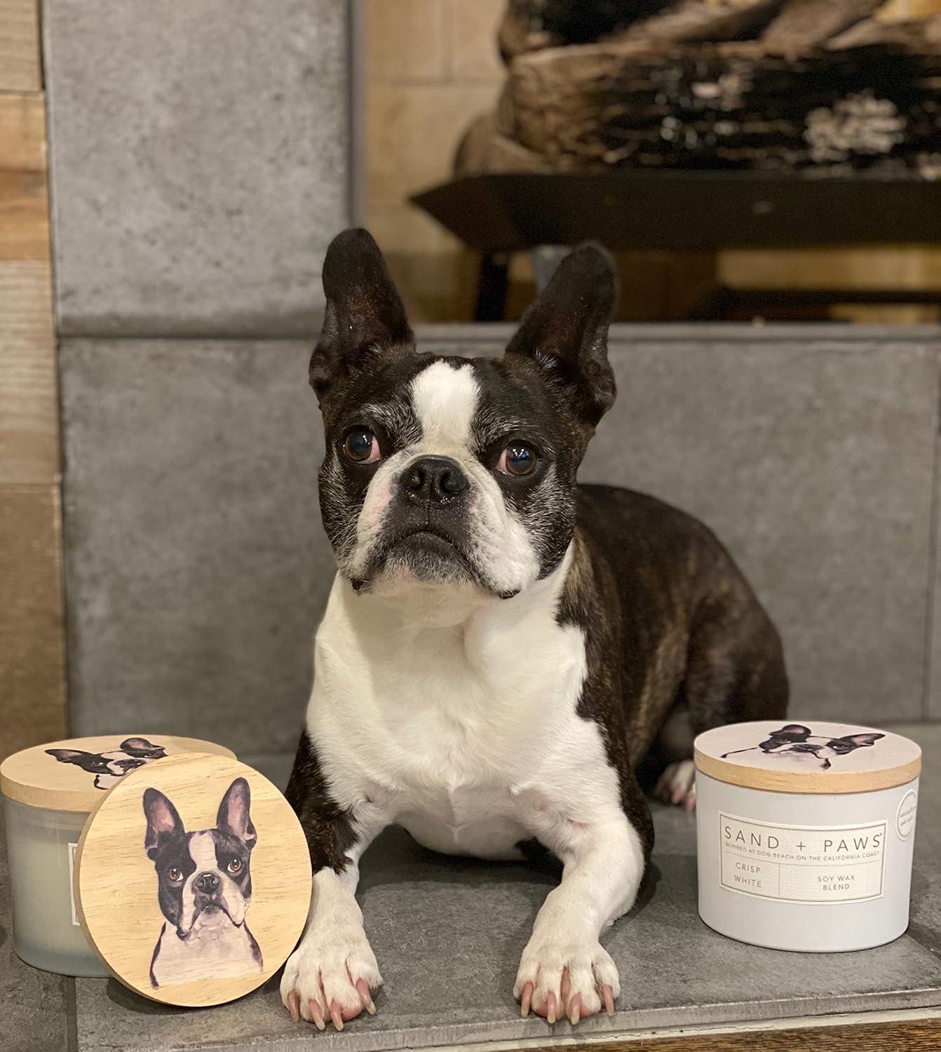 Sand + Paws Scented Candle - Clean Waves - Additional Scents and Sizes –Luxurious Air Freshening Jar Candles Neutralize pet Odors and Enhance Home décor – 100% Cotton Lead-Free Wicks - 12 oz