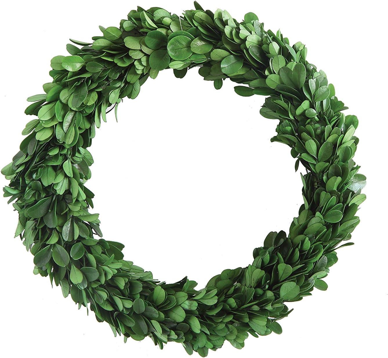 Storied Home Preserved Genuine Boxwood Wreath Green