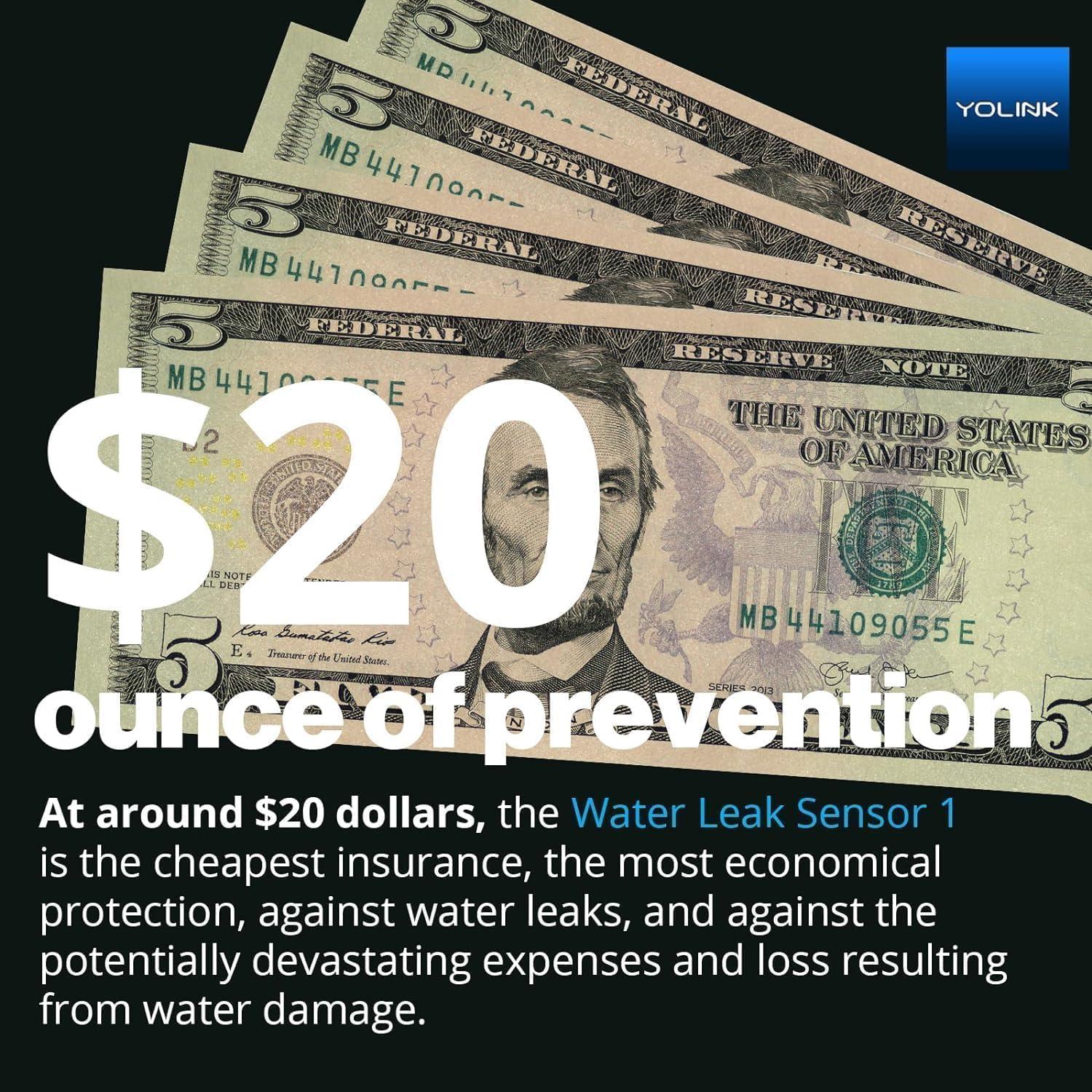 YoLink Smart Home Starter Kit: Hub & 2-Pack Water Leak Sensor 1, LoRa Up to 1/4 Mile Open-Air Range, SMS/Text, Email & Push Notifications, w/Alexa, IFTTT, Home Assistant
