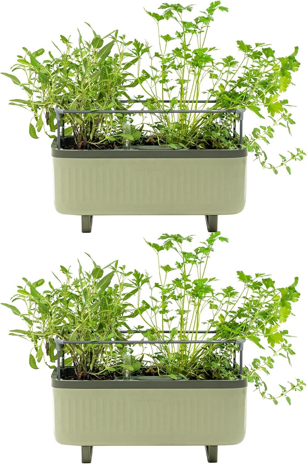 Vego Garden Mini Herb Plastic Outdoor Pot Planter with Trellis
