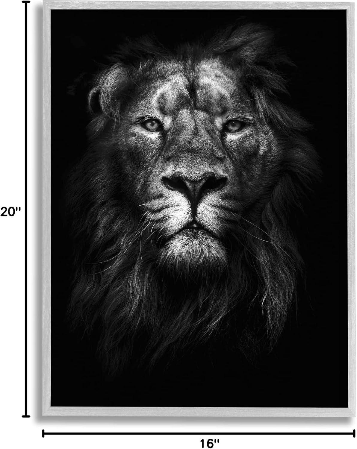 Stupell Industries King of the Jungle Lion In Shadows Black and White Photography, 16 x 20,Design by Design Fabrikken