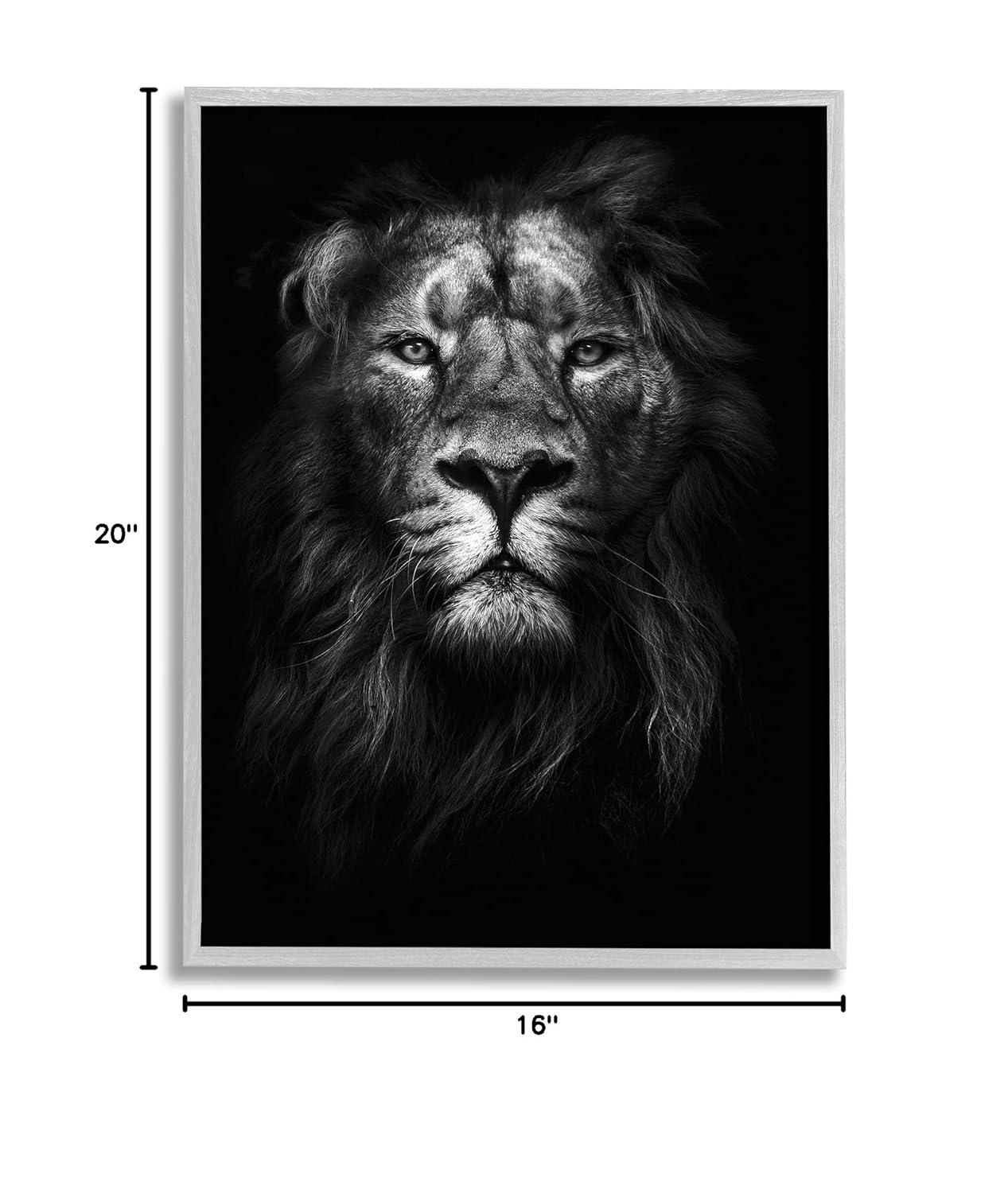 Stupell Industries King of the Jungle Lion In Shadows Black and White Photography, 16 x 20,Design by Design Fabrikken