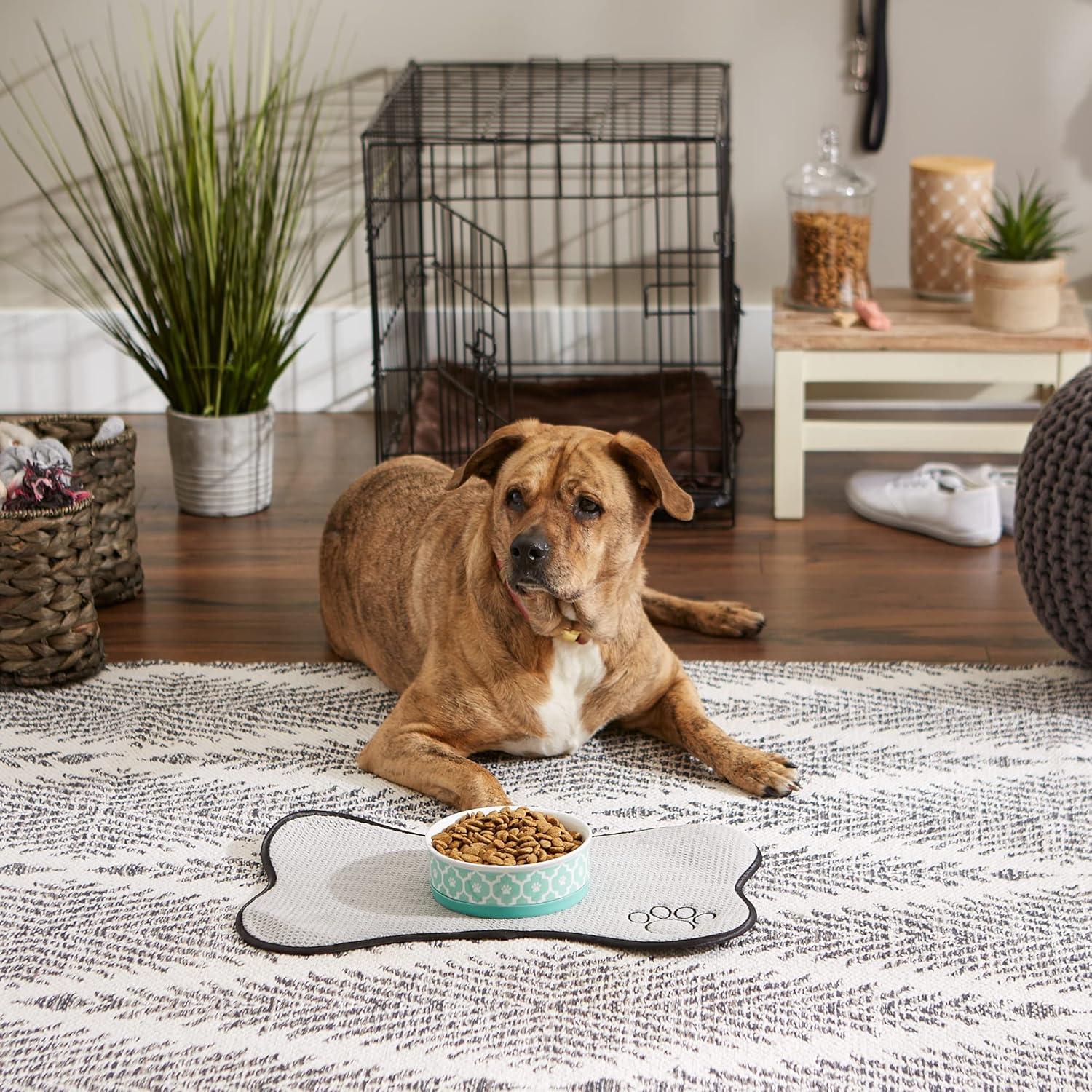 Bone Dry Lattice Pet Bowl, Dishwasher Safe, Single Dish, Medium 6x2", Aqua