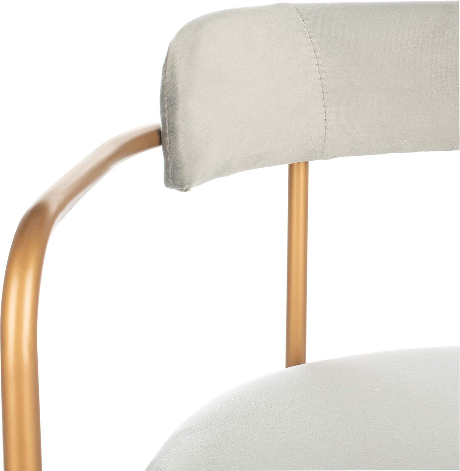 Elegant Transitional Grey Velvet & Gold Metal Side Chair