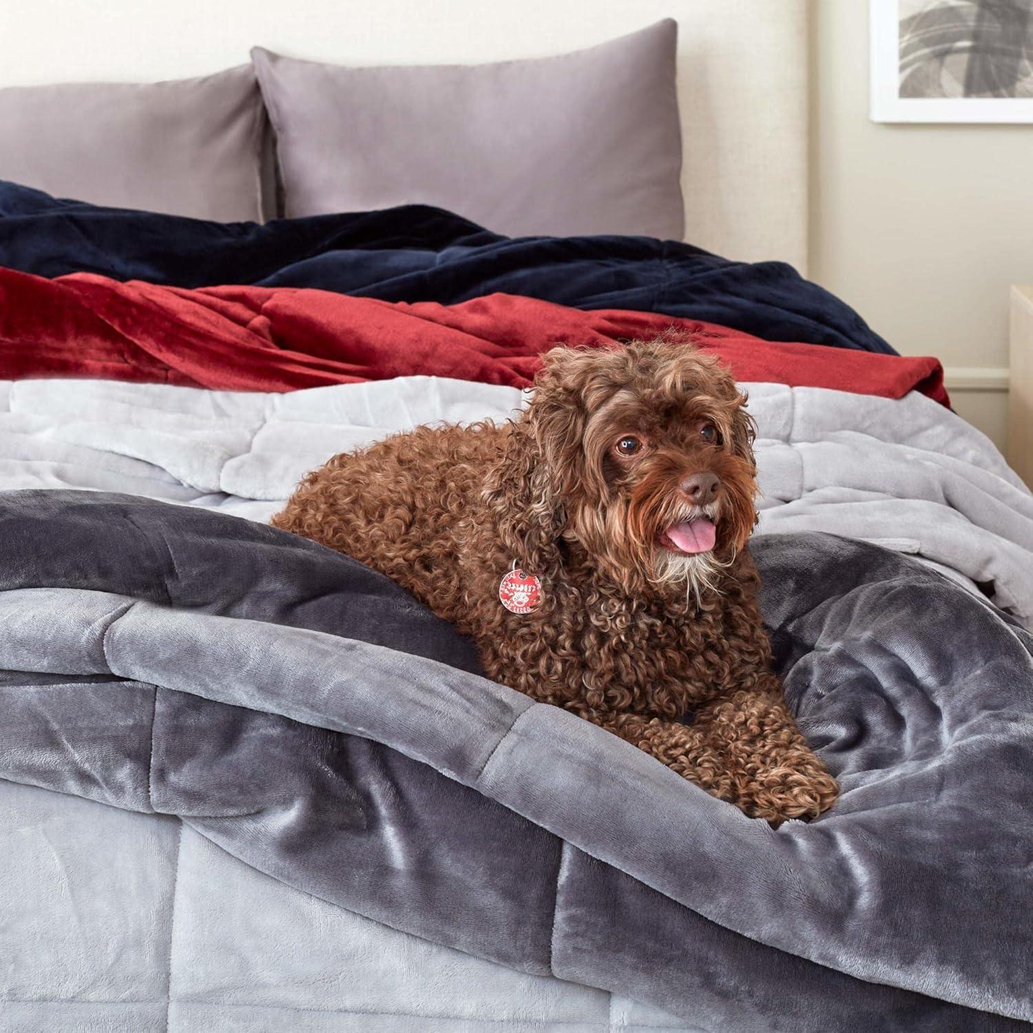 Vellux King Plush Lux Warm Blankets - All Season Blankets - Lightweight Quilted Blanket King Size - Ultra Soft Luxury Hotel Blanket - Box Stitched Blanket (King, Purple)