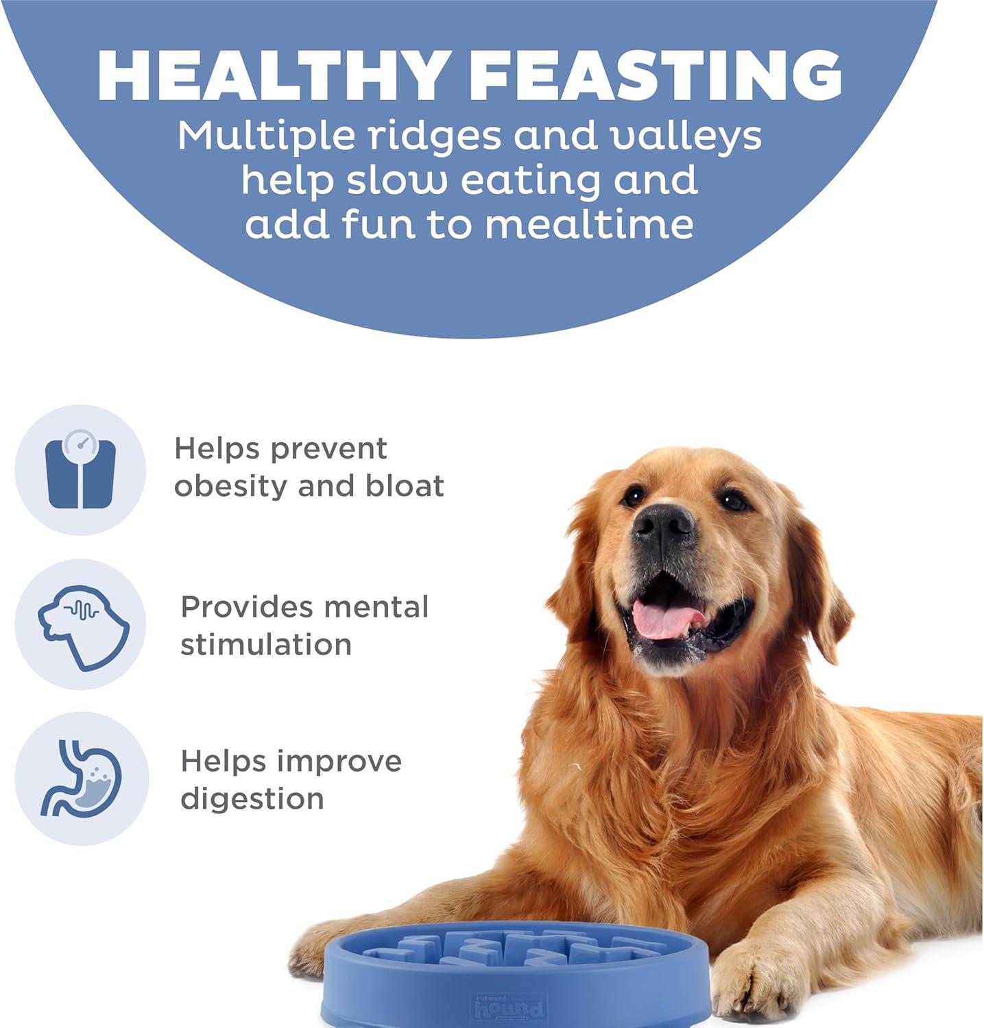 Outward Hound Outward Hound Fun Feeder Slow Bowl, Slow Feeder Dog Bowl, Blue