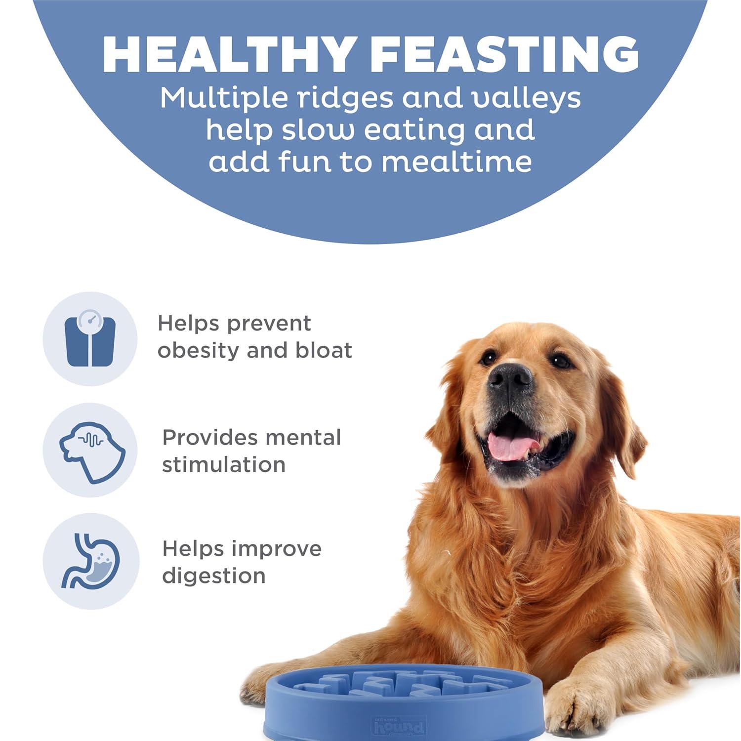 Outward Hound Outward Hound Fun Feeder Slow Bowl, Slow Feeder Dog Bowl, Blue