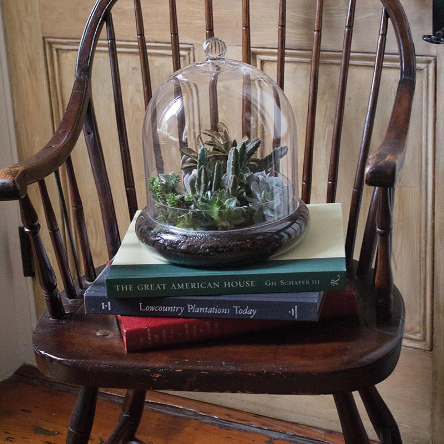 Medium Clear Glass Bell-Shaped Terrarium Cloche