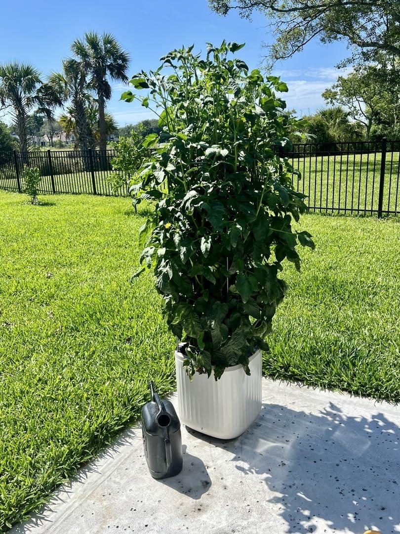 Vego Garden Mini Tomato Plastic Outdoor Pot Planter with Trellis
