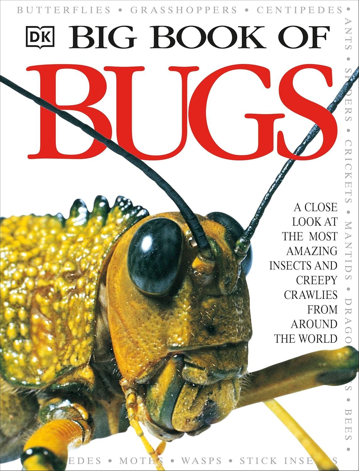 Big Book of Bugs - (DK Big Books) by  DK (Hardcover)