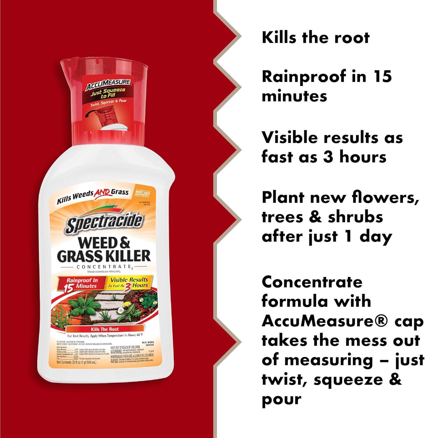 Spectracide Weed and Grass Killer Concentrate 32 oz