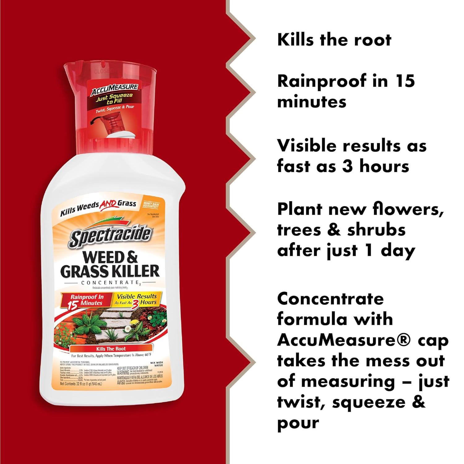 Spectracide Weed and Grass Killer Concentrate 32 oz