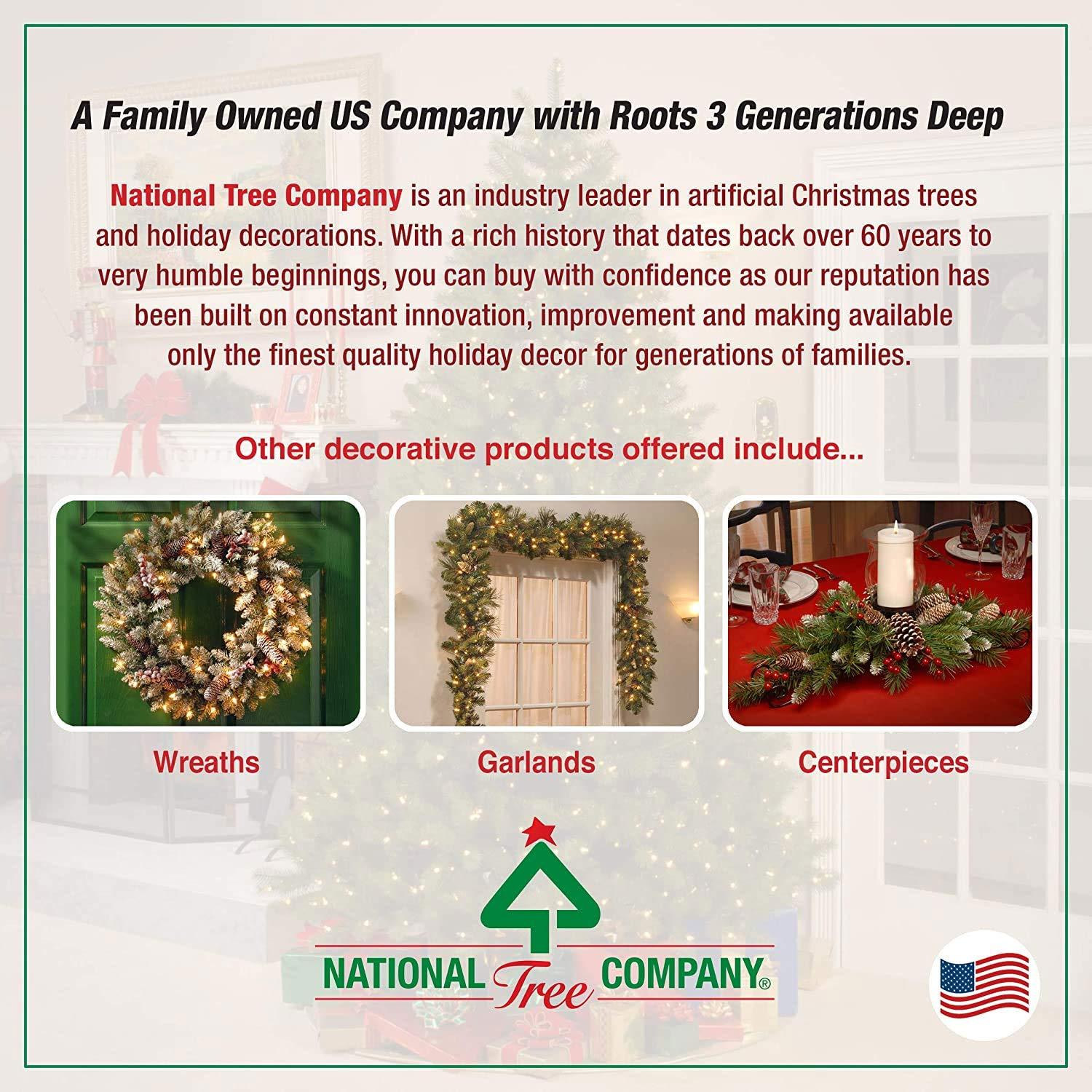 The Holiday Aisle® Dunhill Fir Tree with Clear Lights