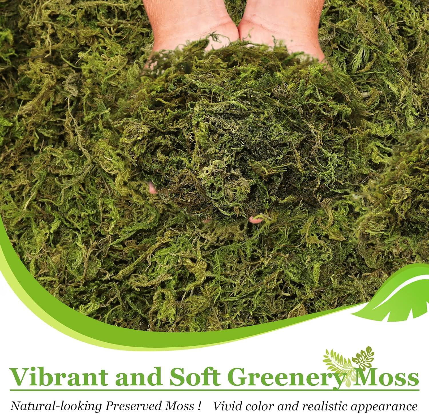 Eco-Friendly Fresh Green Artificial Moss for Potted Plants