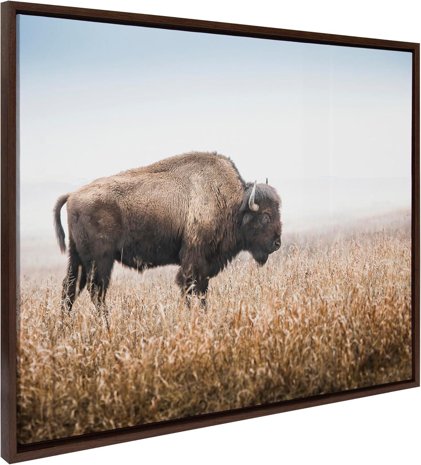 American Bison Buffalo in Prairie Grass Framed Canvas Wall Art