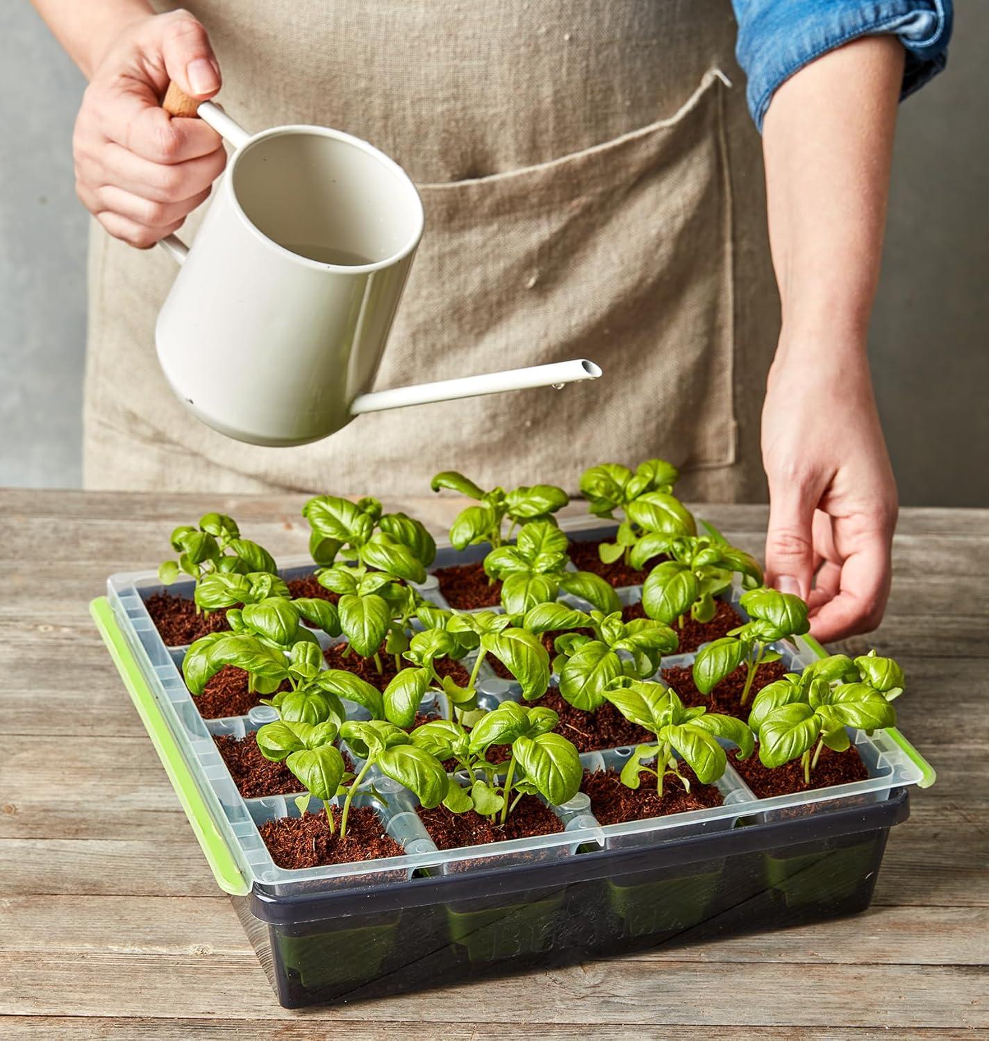 Burpee SuperSeed 16 XL Cell Seed Starting Tray - Reusable and Dishwasher Safe - Growing Tray for Seedlings and Plant Germination