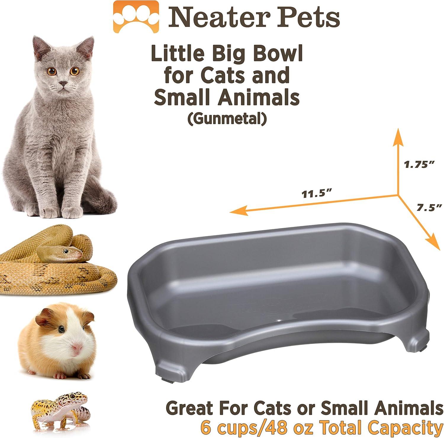 Gunmetal Gray Elevated Plastic Pet Bowl for Small Animals