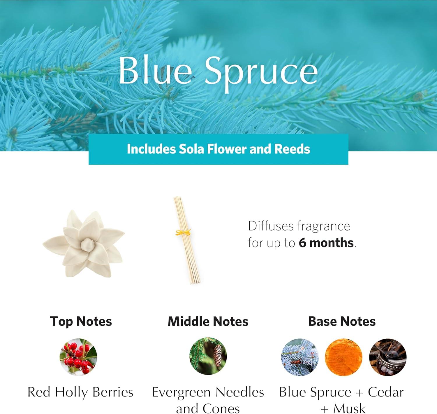 PetiteEssence Blue Spruce Reed Diffuser with Handcrafted Sola Flower
