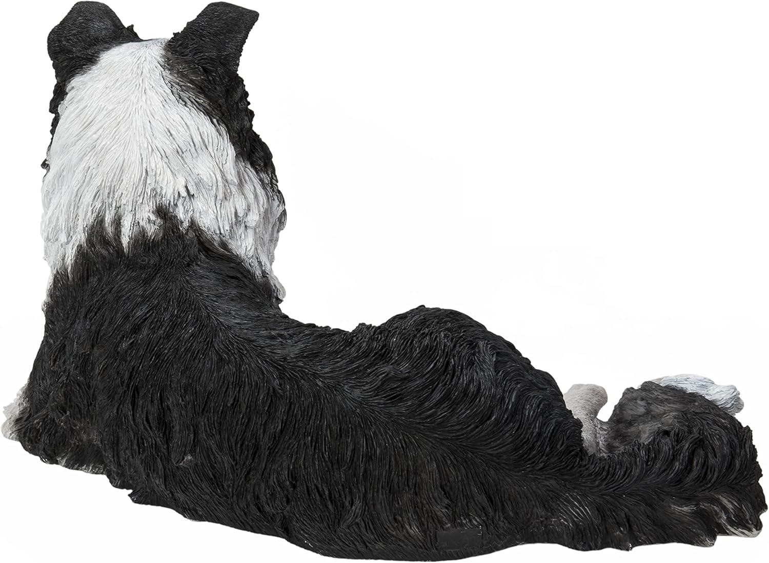 Lying Border Collie