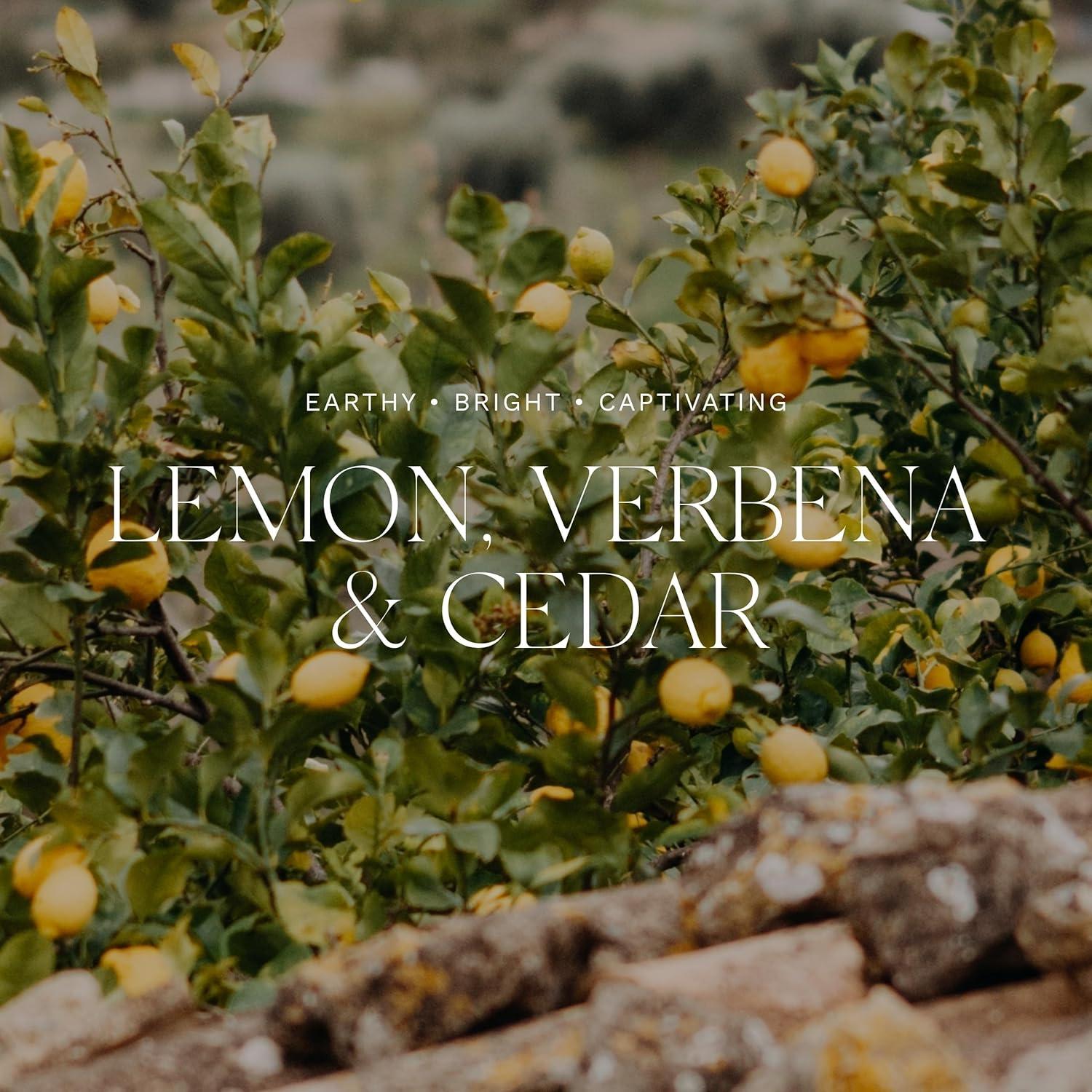 Lemon Verbena & Cedar Reed Diffuser 500ml